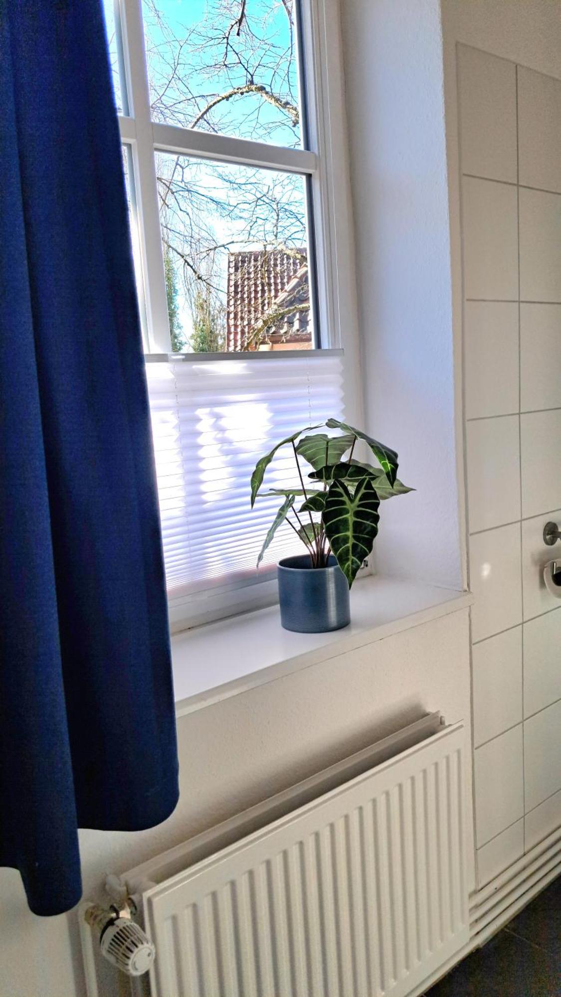 Apartment Brauner Hirsch Celle Exterior foto